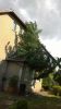 Sturmschaden