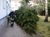 Sturmschaden