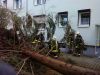 Sturmschaden